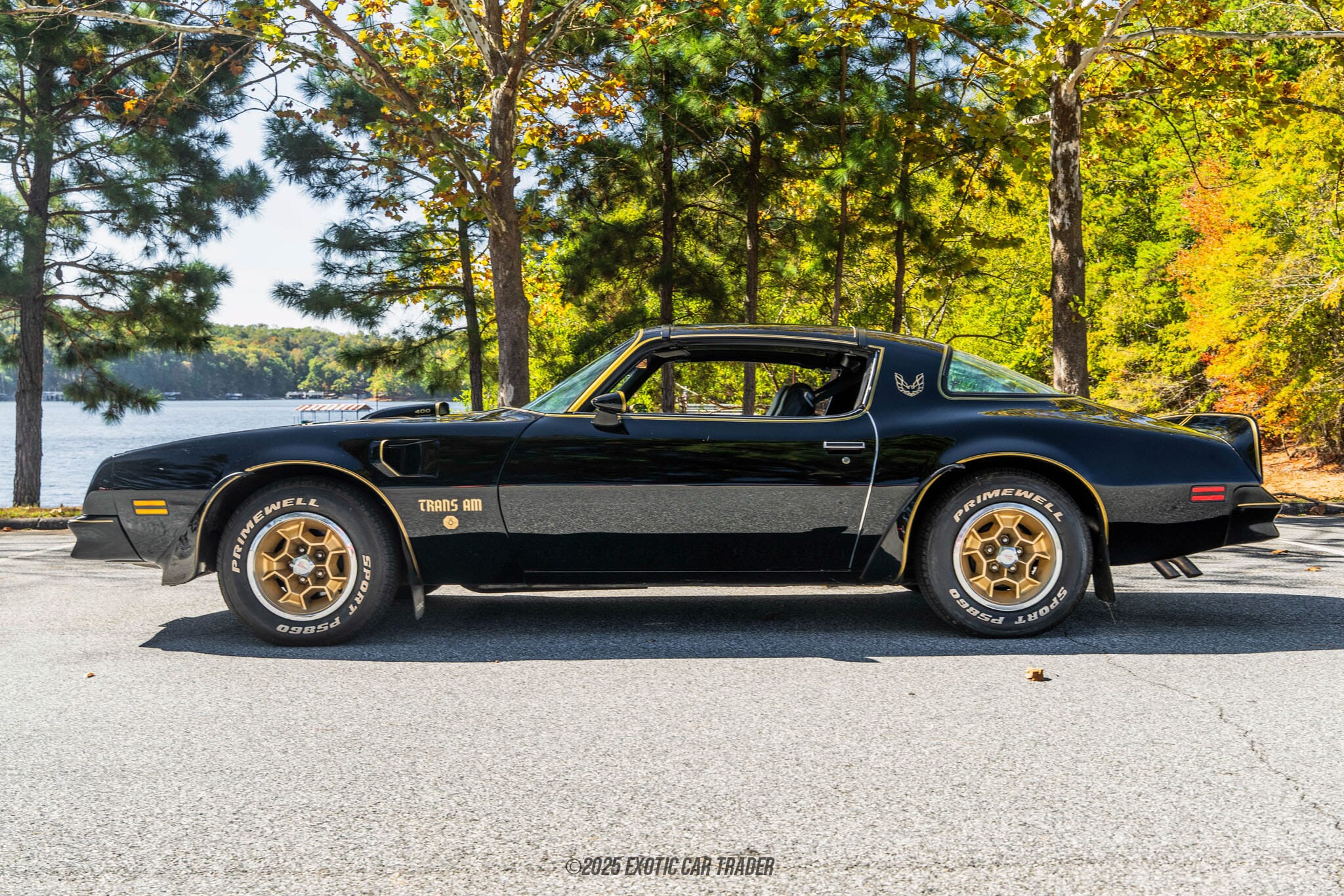 1976 Pontiac Firebird Trans Am 50th Anniversary Edition for Sale